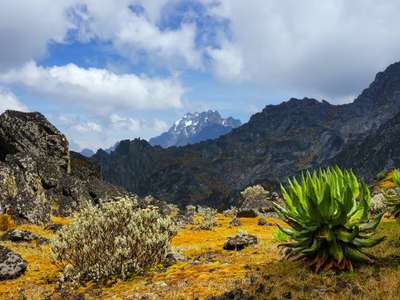 Vielfalt an Landschaften