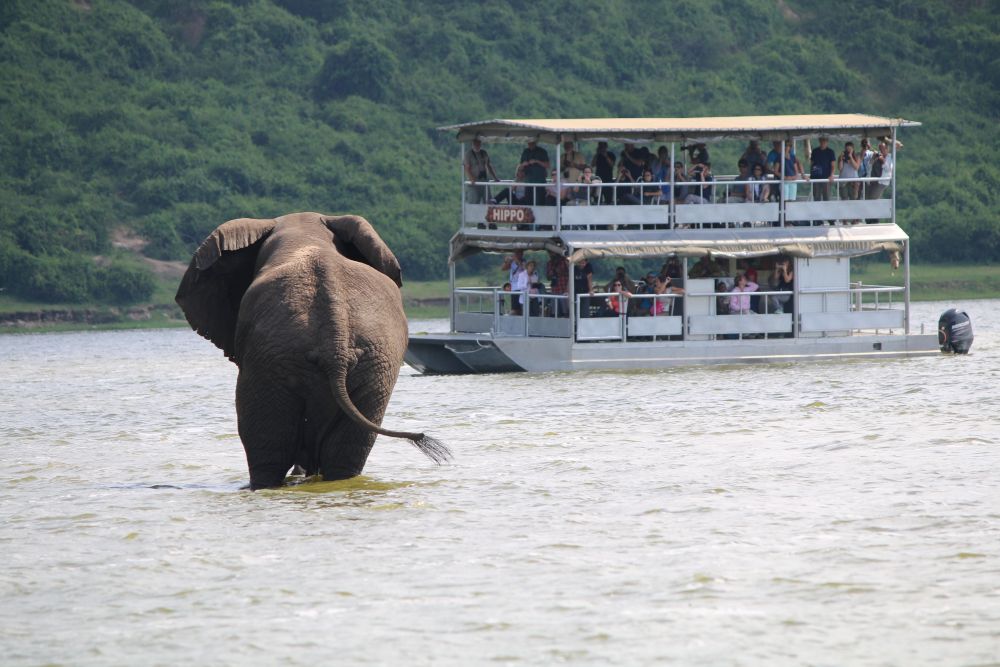 Boot Safari im Queen Elizabeth Nationalpark