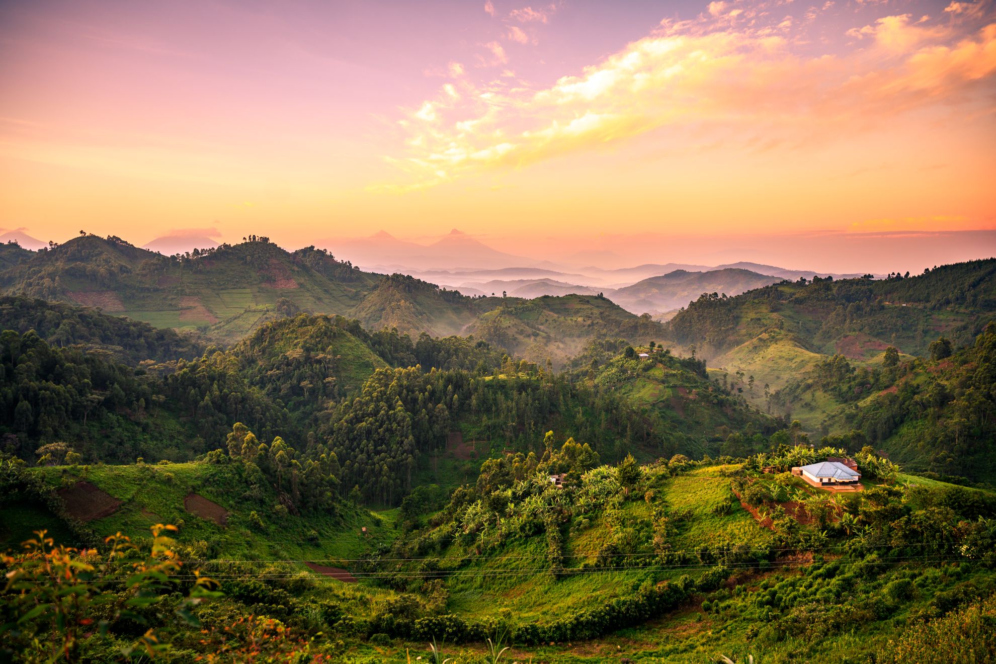 Blick über den Bwindi Impenetrable Forest