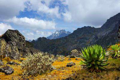 Rwenzori-Gebirge